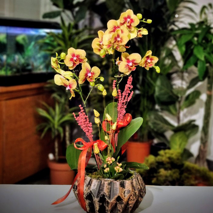 Sinanoba Çiçekçi - sari-orkide-tasarimi