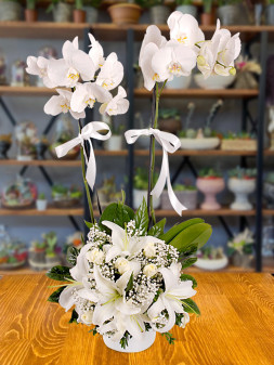 Sinanoba Çiçekçi - 2-dalli-orkide-arajmani